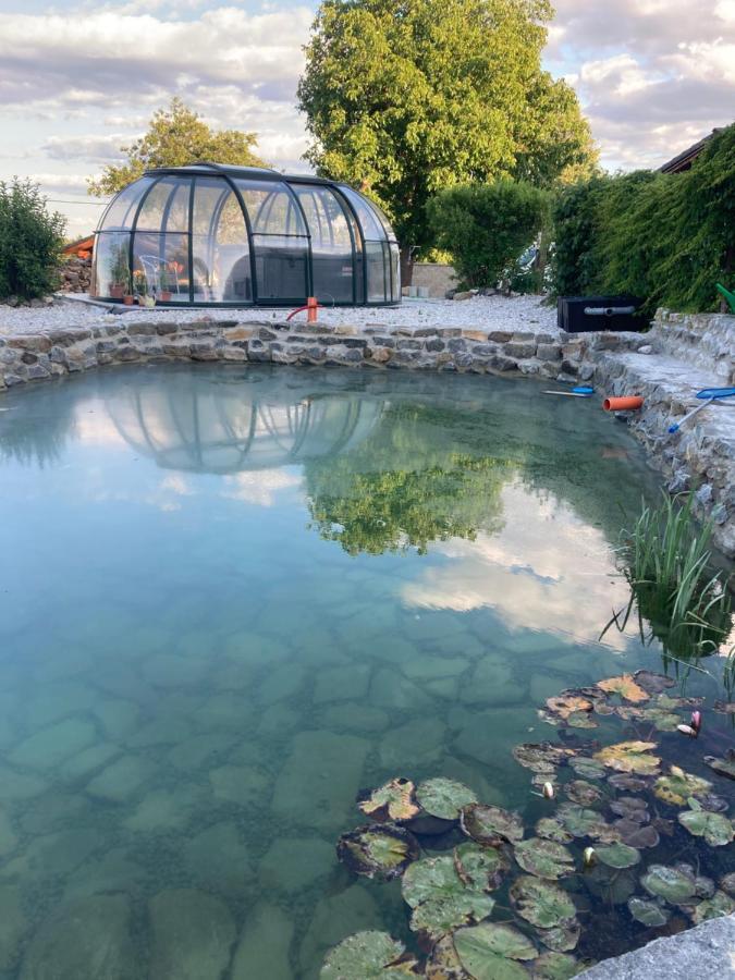 Chalupa Na Samote S Virivkou Tábor Exteriör bild