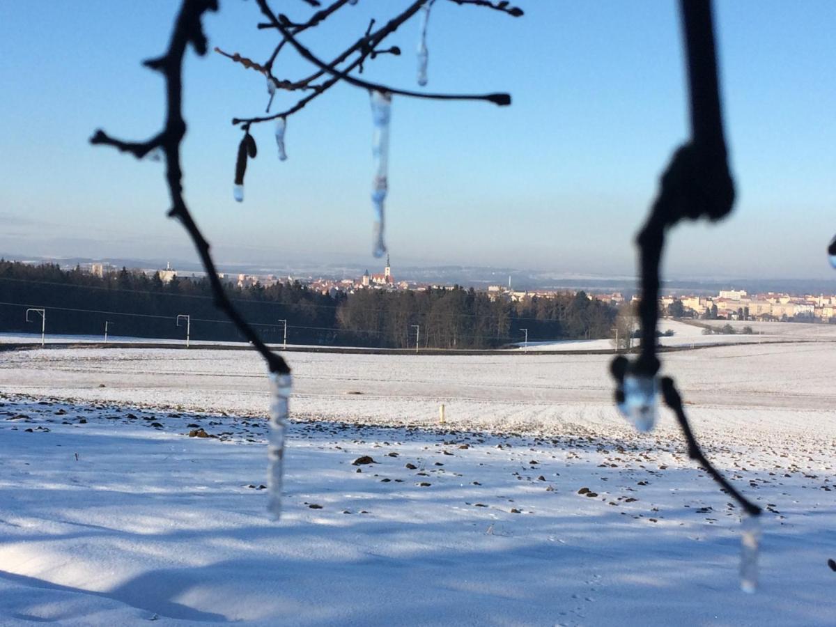 Chalupa Na Samote S Virivkou Tábor Exteriör bild
